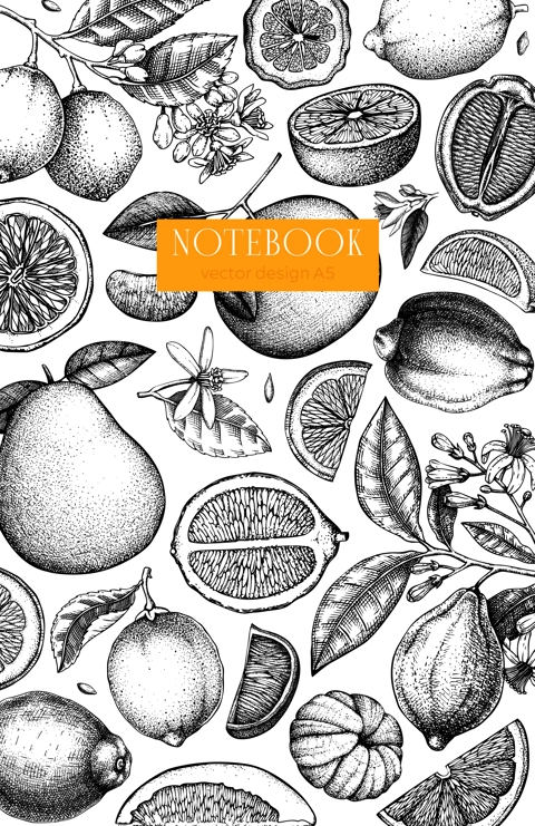 Citrus fruit cover design. Hand drawn vector illustration. Healthy food sketches. Engraved summer background. NOT AI generated